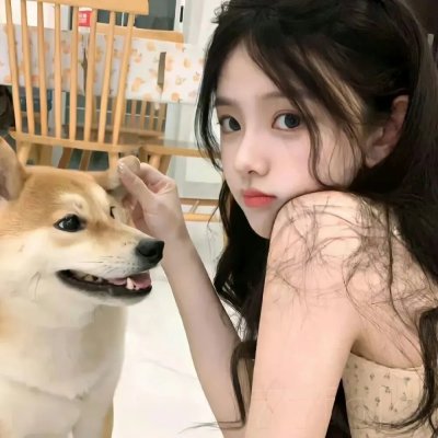 飞鸟总动员