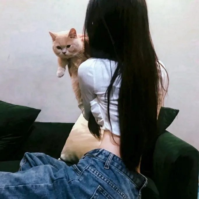 阿妮卡